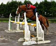 Trevor in training!